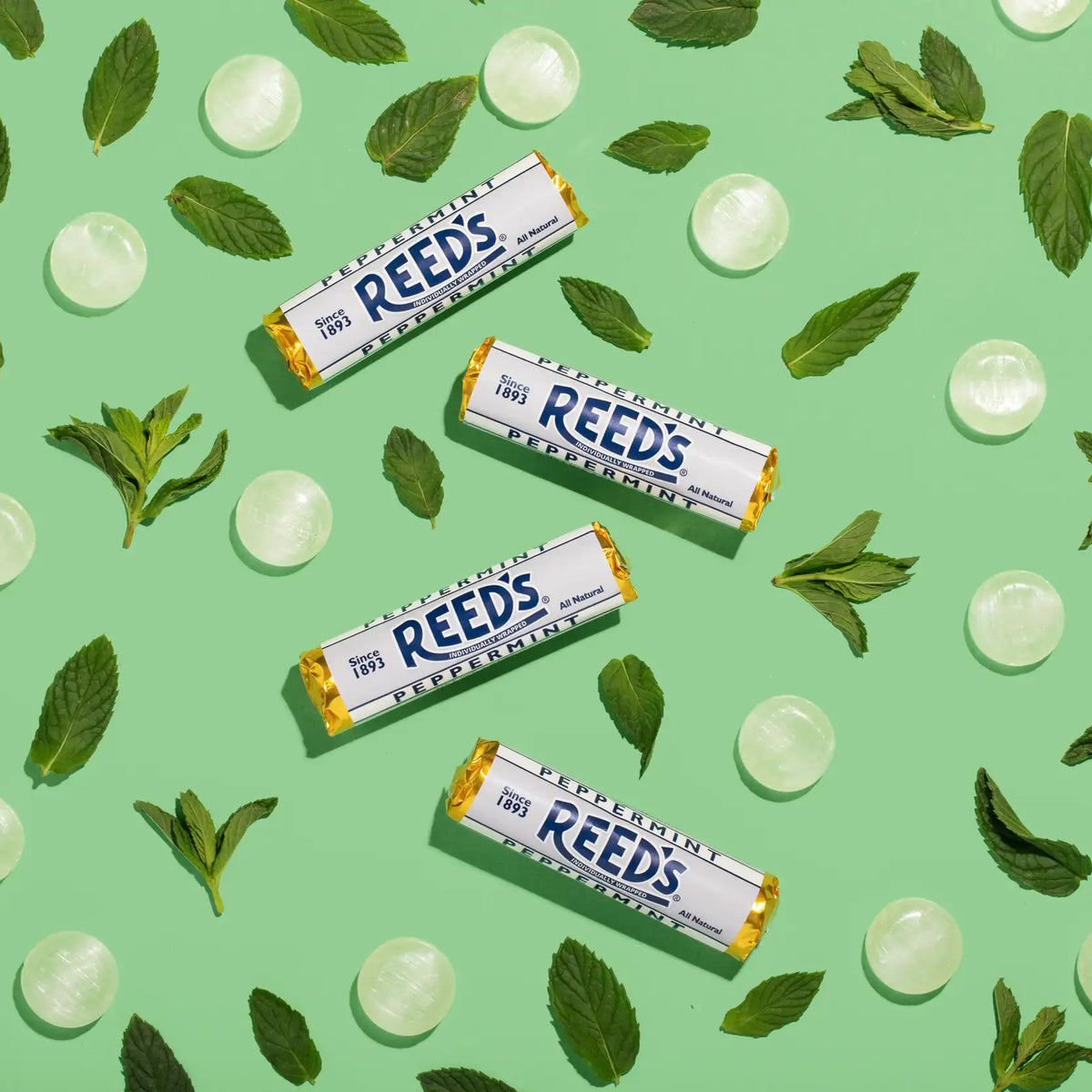 Reed’s | Peppermint Rolls